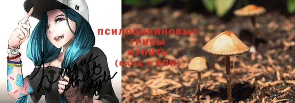 spice Баксан