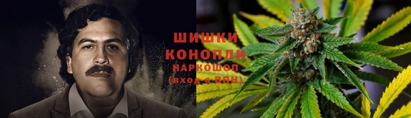 шишки Арсеньев