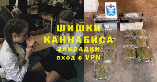 шишки Арсеньев