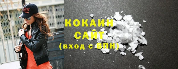 шишки Арсеньев